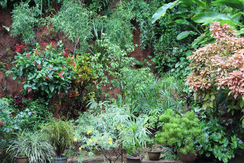 Apartmán Anniewatte House Kandy Exteriér fotografie